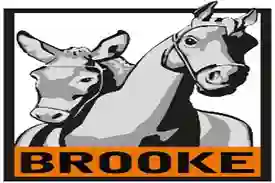BROOKE
