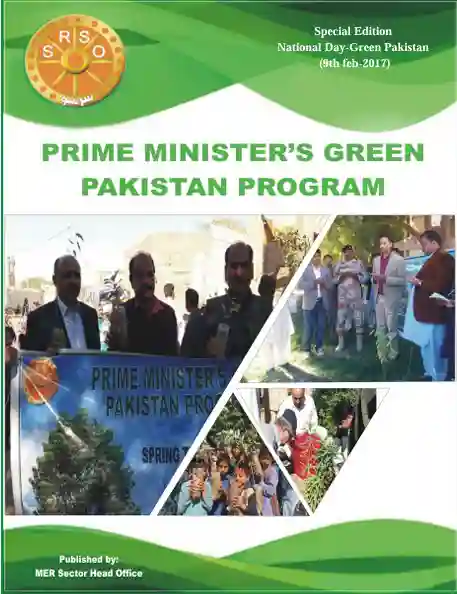 #28 Special Edition National Day Green Pakistan