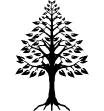 Tree Planted