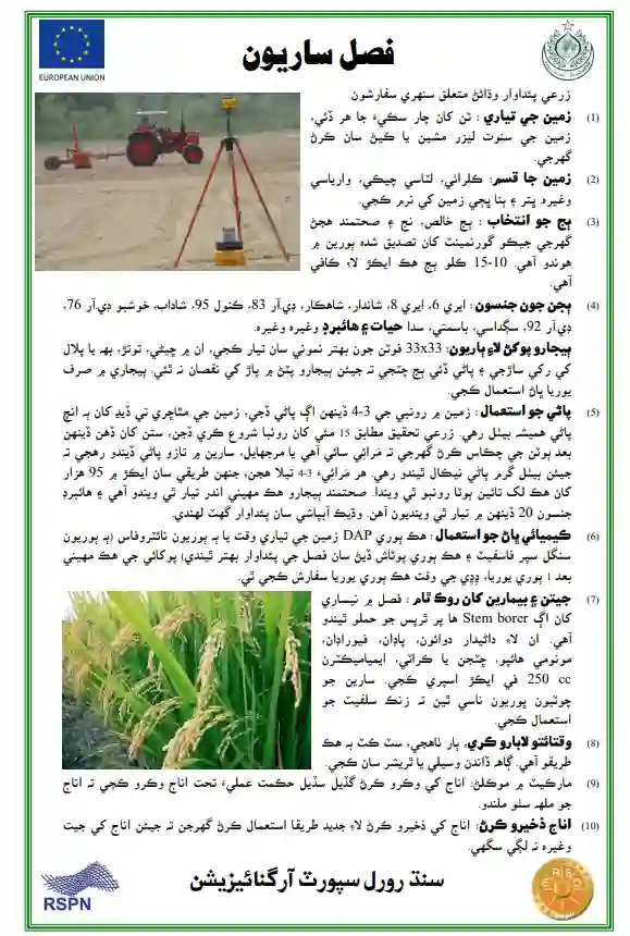 #4 Rice Crop Cultivation