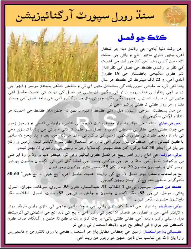 #5 Wheat Crop Cultivation