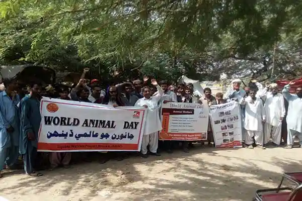 World Animal Day 2016